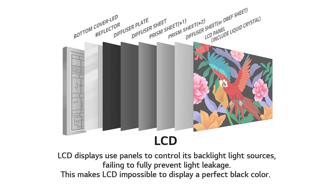 Discovering true color with OLED | Tech Review | OLED SPACE | LG Display